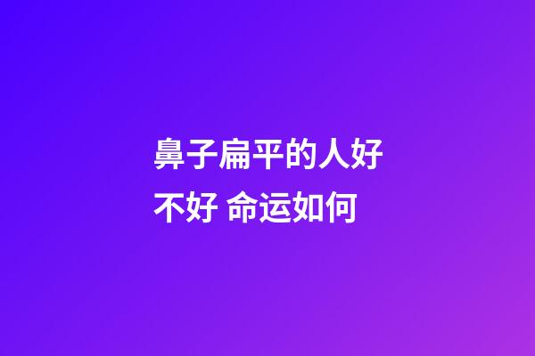 鼻子扁平的人好不好 命运如何